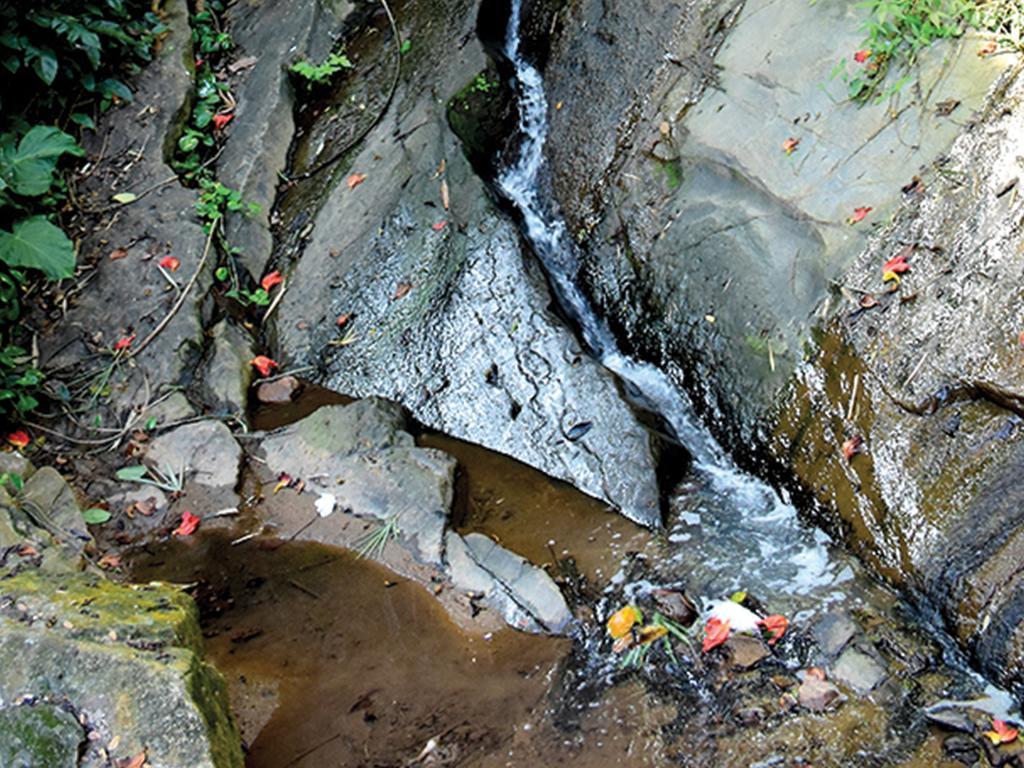Aronka Homestay Kandy Zewnętrze zdjęcie