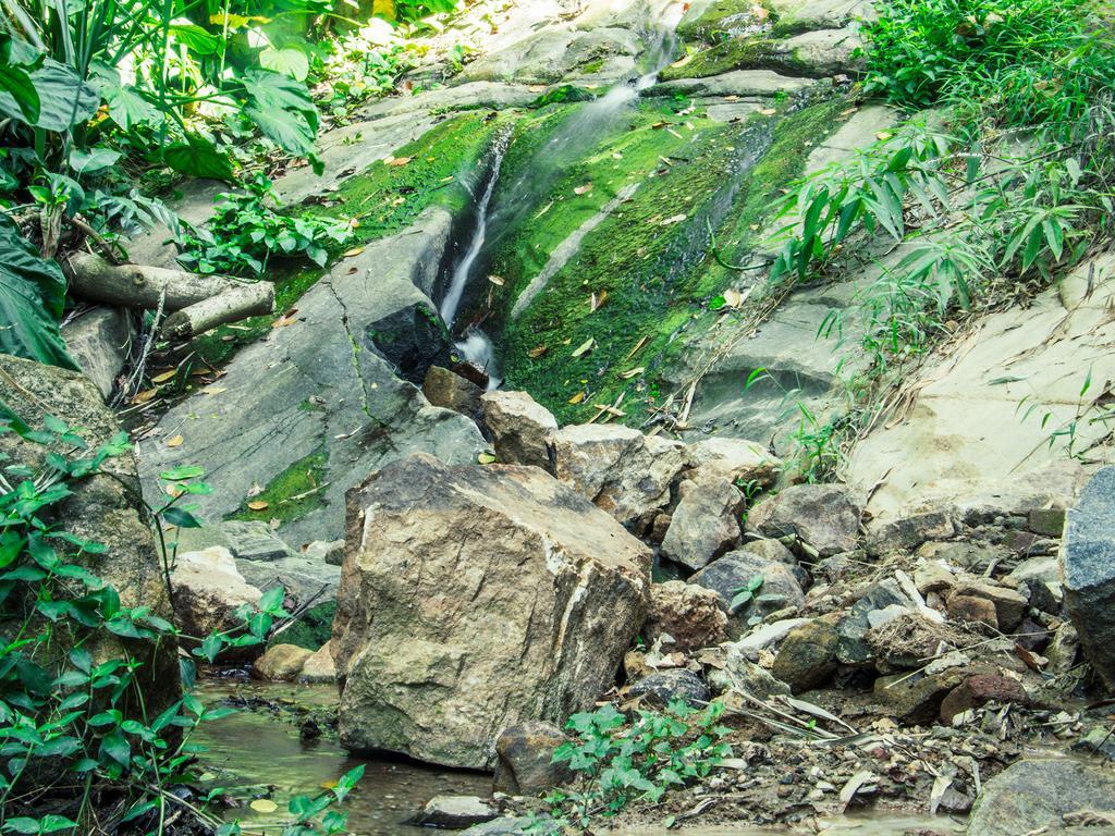 Aronka Homestay Kandy Zewnętrze zdjęcie