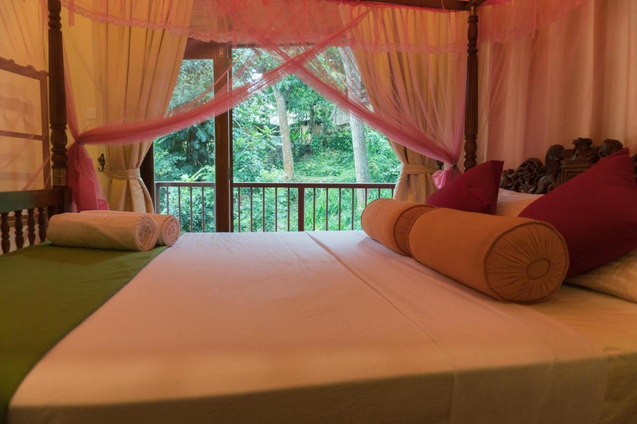 Aronka Homestay Kandy Zewnętrze zdjęcie